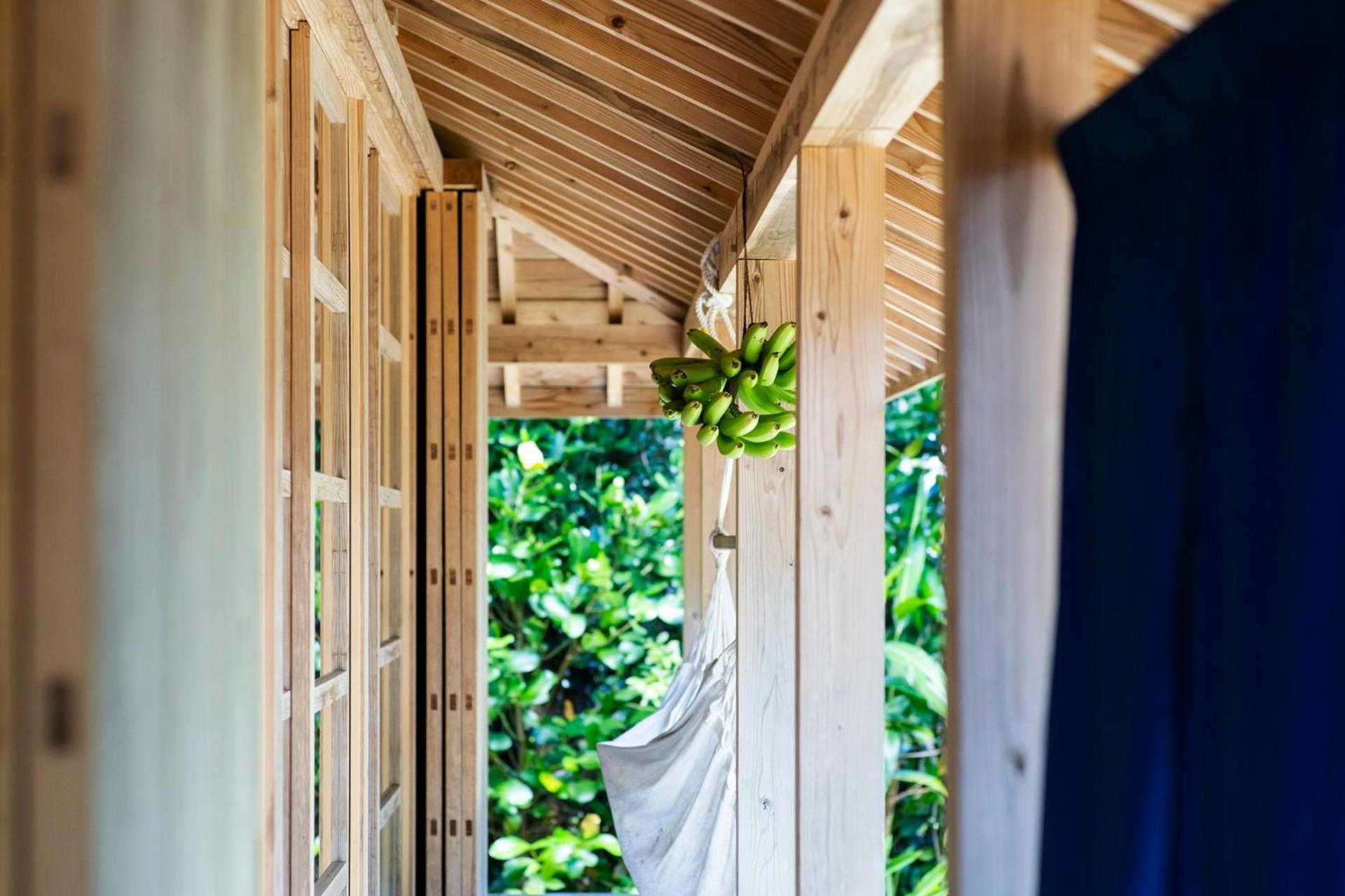 フクギに囲まれた家 さばんぎ沖縄古民家 Savangi Okinawan Designed Folk House Nakijin Dış mekan fotoğraf
